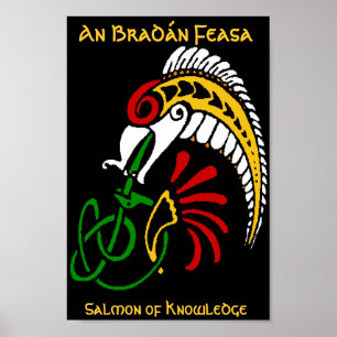 Poster Un BradĂ n Feasa - Le Saumon de la Connaissance