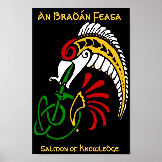 Poster Un BradĂ n Feasa - Le Saumon de la Connaissance (Devant)
