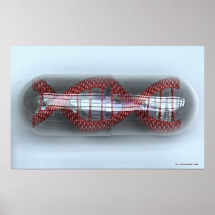 Poster Un brin d'ADN dans une capsule
