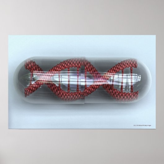 Poster Un brin d'ADN dans une capsule (Devant)