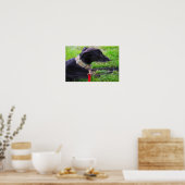 Poster Un calme Greyhounds (Cuisine)