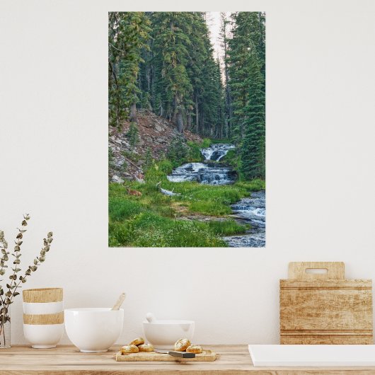 Poster Un canard repose sur une rivière en cascade (Cuisine)