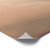 Poster Un Carlin en retrait (Coin)