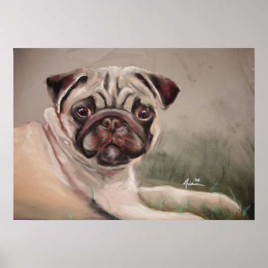 Poster Un Carlin en retrait (Devant)