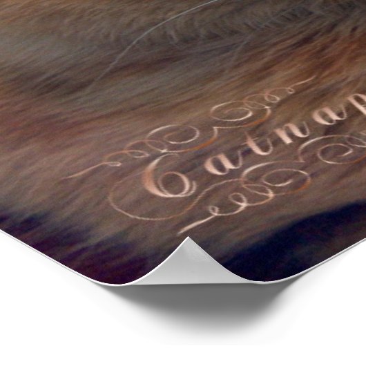 Poster Un Catap Cosy (Coin)