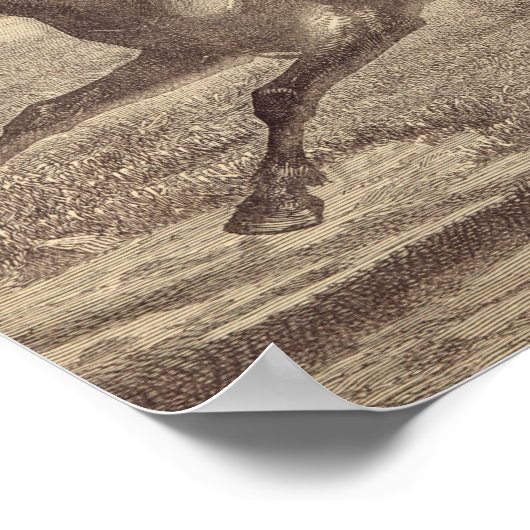 Poster Un cavalier cosaque (Coin)