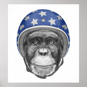 Poster Un cavalier de moto de chimpanzé