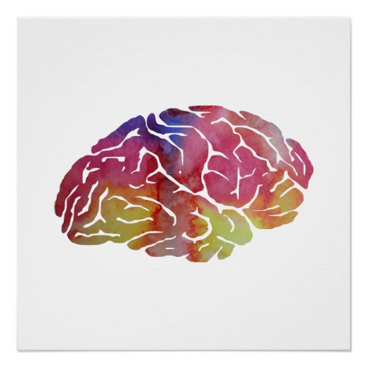 Poster Un cerveau (Devant)