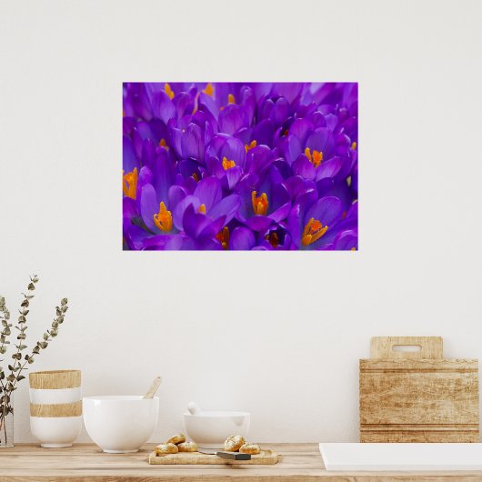 Poster Un champ de crocus violets (Cuisine)