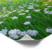 Poster Un champ de graminées au bord du ruisseau (Coin)