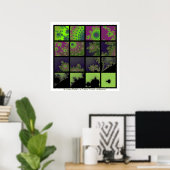 Poster Un champ de Lichen dans un coin plus froid du ciel (Bureau à domicile)