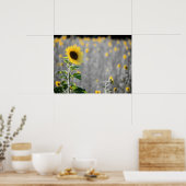 Poster Un champ de tournesols (Cuisine)