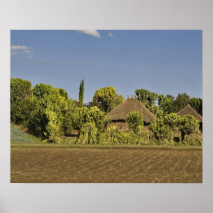 Poster Un champ d'élevage devant des maisons aux toits de
