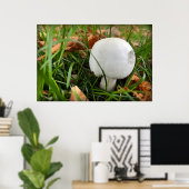 Poster Un champignon mordu (Bureau à domicile)
