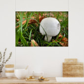 Poster Un champignon mordu (Cuisine)