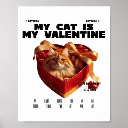 Poster Un Chat Dans La Thérapie Box Joyeux Saint Valentin (Devant)