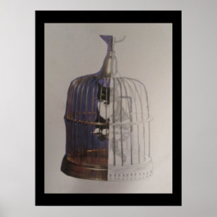 Poster Un chat dans une cage d'oiseaux