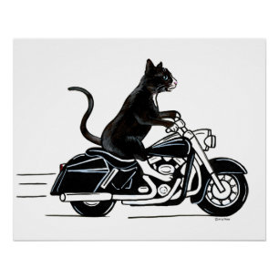 Poster Un Chat De Tuxedo Noir À Moto