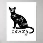 Poster Un chat loin de CRAZY (Devant)