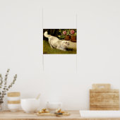 Poster Un chat perse blanc regarde une coccinelle (Cuisine)