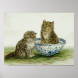 Poster Un chaton dans un bol bleu de Chine