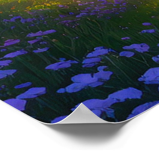 Poster Un chemin à travers la forêt (Coin)