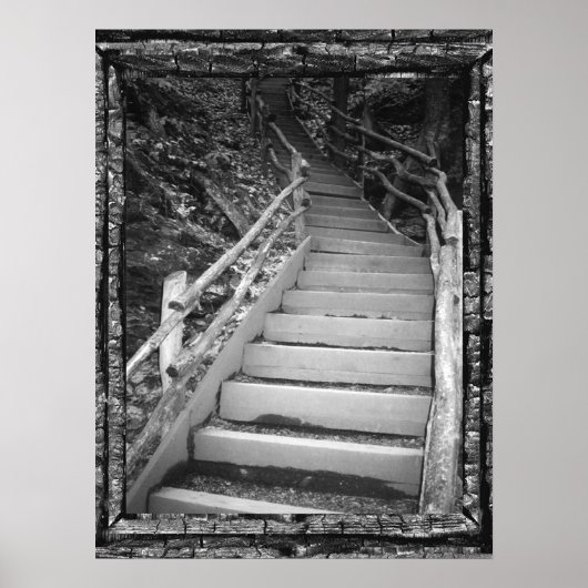 Poster Un chemin sombre (Devant)