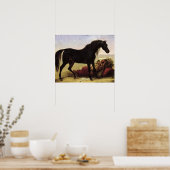 Poster Un cheval arabe (Cuisine)