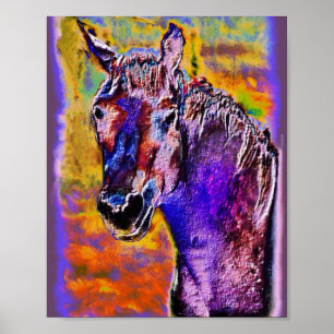 Poster Un cheval de plusieurs couleurs