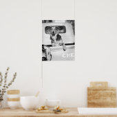 Poster Un chien dans une voiture. (Cuisine)