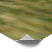 Poster Un chien de boxe qui regarde à la caméra (Coin)