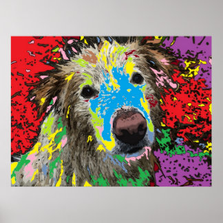 Poster Un chien errant