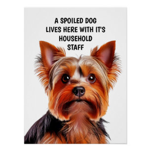 POSTER UN CHIEN GÂTÉ VIT ICI AVEC LE PERSONNEL DE MAISON