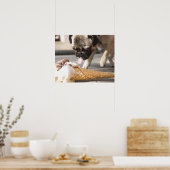 Poster Un chien mange une glace sur un trottoir (Cuisine)