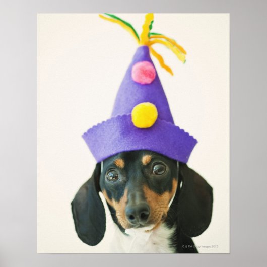 Poster Un chien portant un drôle de casquette (Devant)