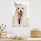 Poster Un Chihuahua Tan Et Blanc Se Trouve Sous Une Servi (Cuisine)