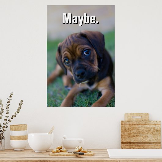 Poster Un Chiot Beagle croisé Carlin (Puggle) (Cuisine)