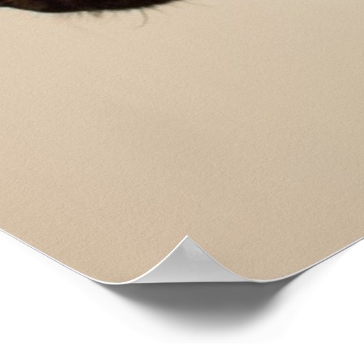 Poster Un chiot de Brindle Boxer qui regarde curieusement (Coin)