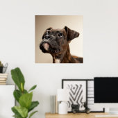 Poster Un chiot de Brindle Boxer qui regarde curieusement (Bureau à domicile)