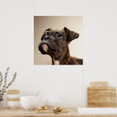 Poster Un chiot de Brindle Boxer qui regarde curieusement (Cuisine)