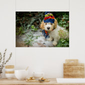 Poster Un Chiot De Cavacon Doux Dans Un Casquette D'Hiver (Cuisine)