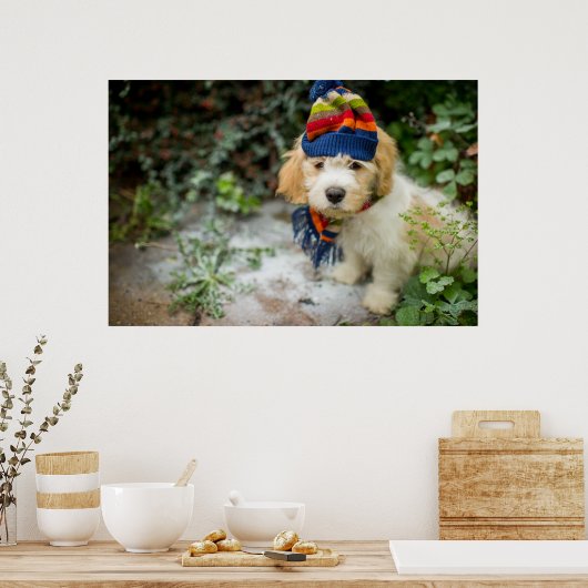 Poster Un Chiot De Cavacon Doux Dans Un Casquette D'Hiver (Cuisine)