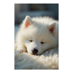 Poster Un chiot Samoyed moelleux dormant paisiblement