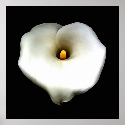 Poster Un Coeur Artistique En Forme De Calla Lily Isolé (Devant)