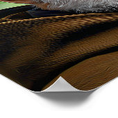 Poster Un coeur pour Dieu : Saint Padre Pio (Coin)