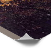 Poster Un colibri astémien à l'orchidée blanche (Coin)