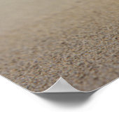 Poster Un Coquillages Sur La Plage | Ste-Croix, Usvi (Coin)