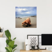 Poster Un Coquillages Sur La Plage | Ste-Croix, Usvi (Bureau à domicile)