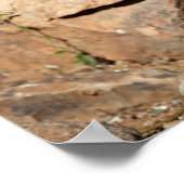 Poster Un coureur de route interrompt momentanément sa re (Coin)