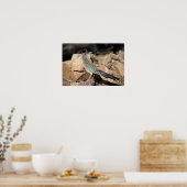 Poster Un coureur de route interrompt momentanément sa re (Cuisine)